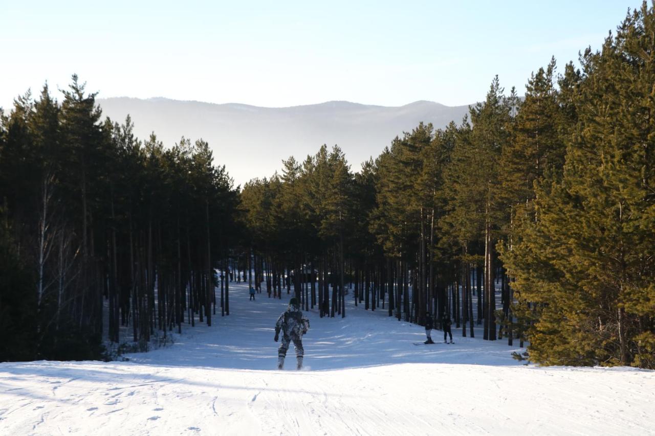 Orman Ski Shchuchinskiy Экстерьер фото